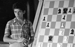 Гарри Каспаров: биография, личная жизнь, жены, дети, звания, награды, лучшие игры и фото шахматиста